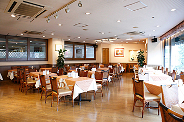 広々として明るい店内