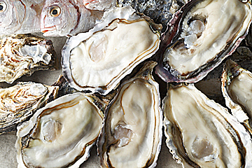 Raw Oyster(生牡蠣)
